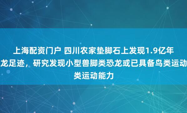 上海配资门户 四川农家垫脚石上发现1.9亿年前恐龙足迹，研究发现小型兽脚类恐龙或已具备鸟类运动能力